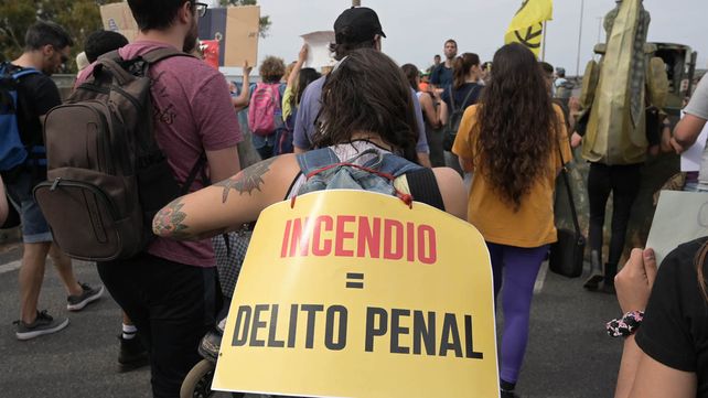 Puente Victoria - Rosario: marchan por los humedales