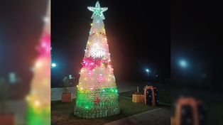 El fuerte viento se llevó un árbol de seis metros de una localidad santafesina