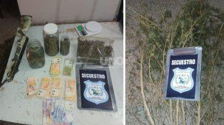 Las plantas de marihuana, cogollos y el arma secuestrada en Villa Oculta