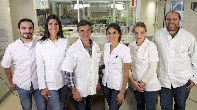 El equipo de Investigación y Desarrollo de la compañía Novozymes.