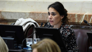 Lucila Crexell, senadora nacional por Neuquén, imán de controversia.