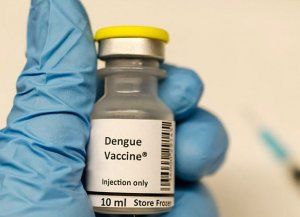 Dengue: qué dice el Ministerio de Salud sobre la vacuna