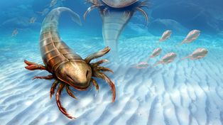 Escorpiones gigantes eran los dueños de los mares en la prehistoria