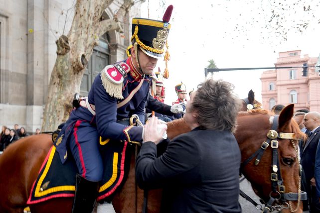 En el trayecto hasta la catedral porteña, el presidente se detuvo a acariciar a varios caballos del Regimiento de Granaderos.