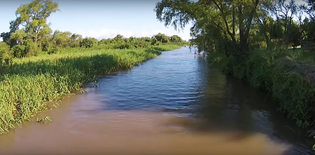 Por la bajante, la Cortada de Sauce Viejo se quedó casi sin agua