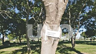 Denuncian robos a autos en las dársenas del Parque Federal