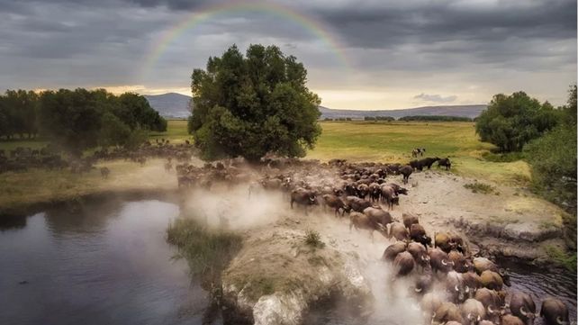 Drone Awards 2020: las mejores fotos aéreas durante la pandemia