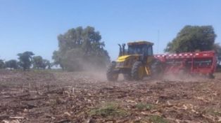 Si La Niña resulta ser más intensa y prolongada de lo previsto en el escenario base, podría provocar un clima más cálido y seco de lo normal en regiones clave para la producción agrícola argentina.