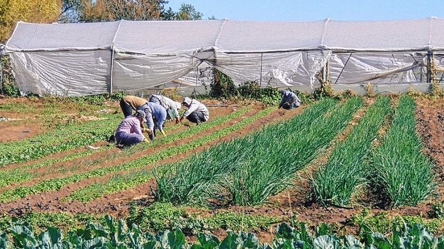 Paraná: destinan tierras a la producción agroecológica