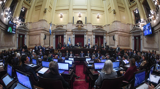 El Senado ya debate una versión acotada del proyecto de propiedad privada