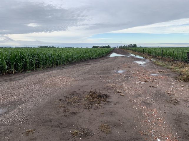En la zona de Coronel Suárez están acostumbrados a no tener buen régimen de lluvias