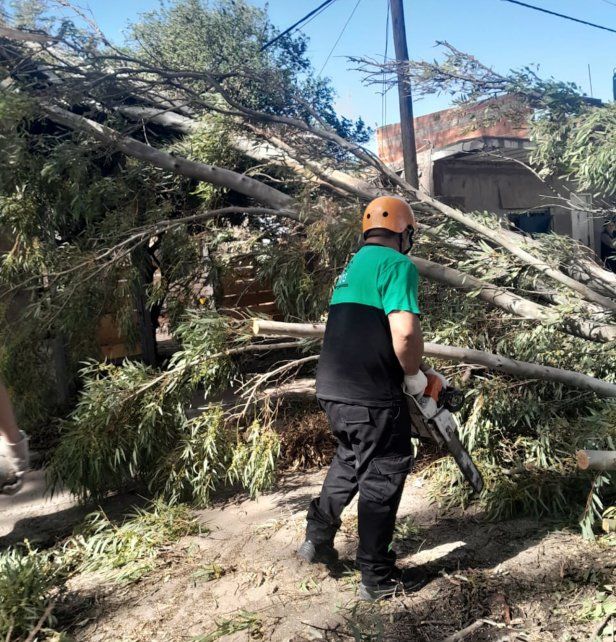 Ráfagas de casi 90 kilómetros por hora causaron destrozos en Rosario