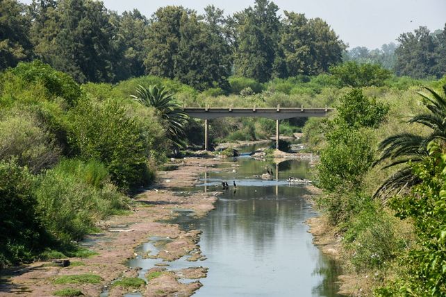 Dos posibles historias detrás del cadáver hallado en el Bosque de los Constituyentes