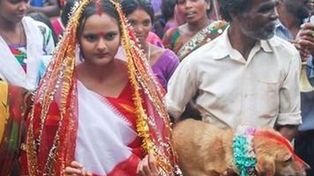 Una adolescente en India se casó con un perro para romper una maldición