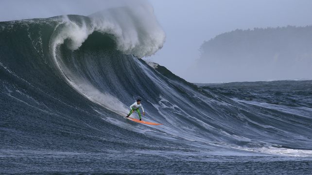Descubren por qué los tiburones atacan a los surfistas