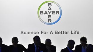 Juicio a Monsanto: Bayer pierde más de 11 mil millones de euros en fallo contra Monsanto