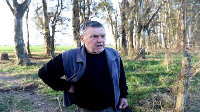 Alberto Perassi