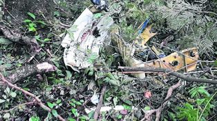 Un avión se cayó en Tucumán y murieron sus cuatro ocupantes