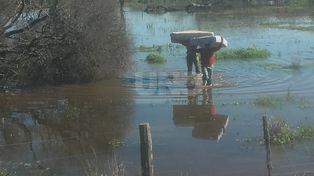 Ya hay evacuados en el norte de Santa Fe por el agua que ingresa de Chaco y Santiago