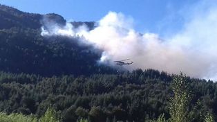 Combaten un incendio de bosques cerca de Lago Puelo