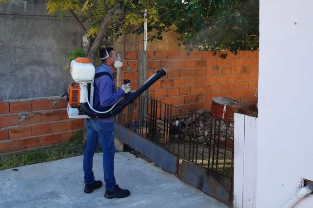 Hay más de 32.000 casos de dengue en Argentina y 24 muertes