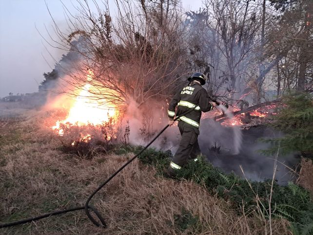 Investigan si el incendio de pastizales que se produjo en el borde de la autopista fue intencional