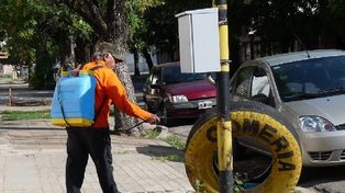 Cronograma de fumigaciones en la ciudad para esta semana