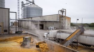 Si bien el ingreso de divisas de diciembre fue superior a noviembre, estuvo impactado negativamente por el bajo remanente de granos de la cosecha gruesa y una producción de trigo afectada por el clima.