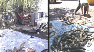 Depredadores de río: secuestraron e incineraron 500 pescados