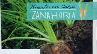 Este viernes pedí opcional la Huerta en Casa