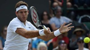 Del Potro volvió con un triunfo en Washington