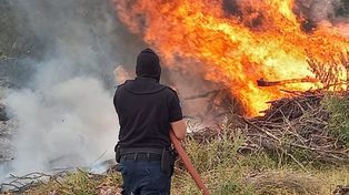 El fuego invade los esteros del Iberá y quita la vida de miles de animales