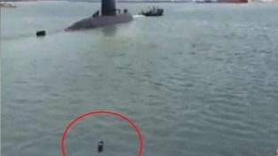 La emocionante historia del perro que nadó para alcanzar al submarino