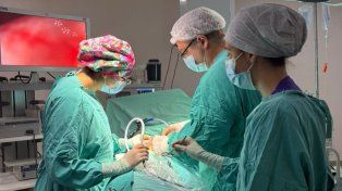 Con 98 donaciones de órganos en 10 meses, la provincia superó el récord anual