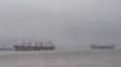 El tiempo en Rosario: martes con niebla, en la previa de un miércoles con más niebla