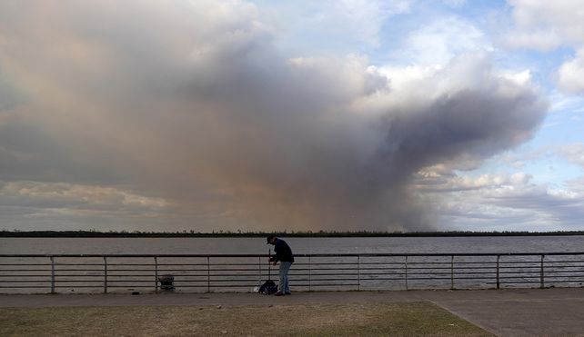 Los incendios en el Delta del Paraná “intensifican a niveles nunca vistos” el daño a los ecosistemas y humedales que “merecen un cuidado extremo”