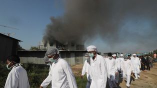 India: cinco muertos al incendiarse la planta del mayor fabricante de vacunas del mundo