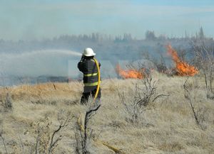 Piden prevenir para evitar los riesgos por la quema de pastizales