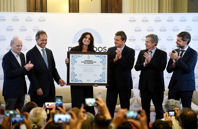 Gabriela Sabatini fue distinguida en el Congreso