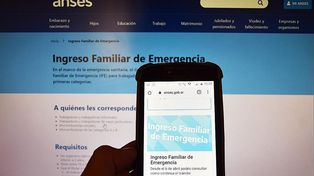 Cronograma IFE de Anses
