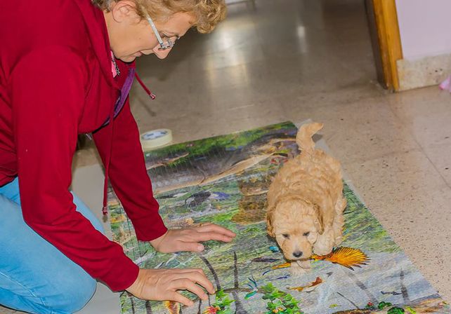 Paciencia. Betty destaca las virtudes de este arte. (Foto gentileza José María Razetto)