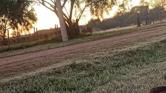 Jueves helado en Entre Ríos: no hay anuncio de lluvias