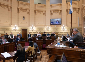 El Senado de Santa Fe dio la media sanción a la nueva ley contra la violencia de género