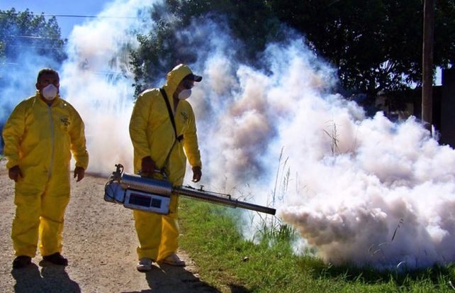 Salud confirmó 130 casos de dengue en la provincia de Santa Fe