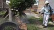 El gobierno nacional inicia una campaña contra el dengue