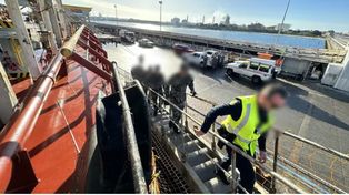 Hallaron en Australia casi una tonelada de cocaína dentro de un barco que pasó cerca de Rosario
