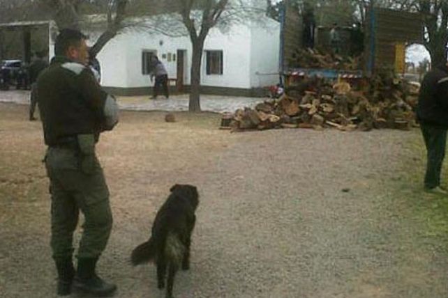 Secuestran más de dos toneladas de marihuana en Ceres, Santa Fe