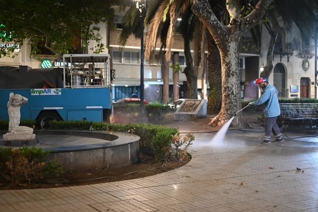 Palomas: amplían el uso de anticonceptivos a 17 parques y plazas de Rosario