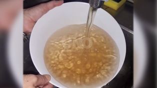 El agua turbia se relaciona con la bajante del río