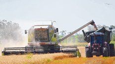 Cosecha. La producción agrícola exhibió altos rindes, de acuerdo a la Guía Estratégica para el Agro. Cosecha. La producción agrícola exhibió altos rindes, de acuerdo a la Guía Estratégica para el Agro.